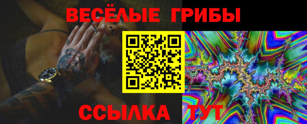 Псилоцибиновые грибы MAGIC MUSHROOMS  Вход с VPN  Черкесск  Галлюциногенные грибы GOLDEN TEACHER 
